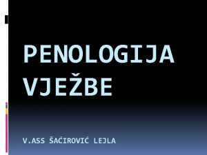 PENOLOGIJA VJEBE V ASS AIROVI LEJLA Lat Poena