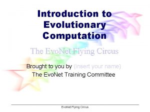 Introduction to Evolutionary Computation The Evo Net Flying