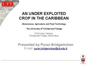 AN UNDER EXPLOITED CROP IN THE CARIBBEAN Biosciences