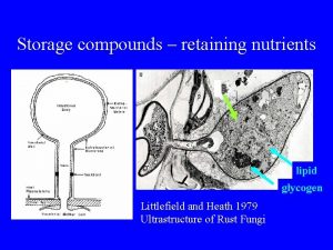 Storage compounds retaining nutrients lipid glycogen Littlefield and