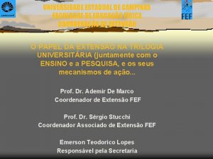 UNIVERSIDADE ESTADUAL DE CAMPINAS FACULDADE DE EDUCAO FSICA