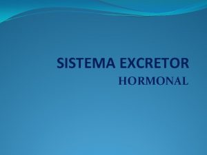 Imágenes del sistema excretor