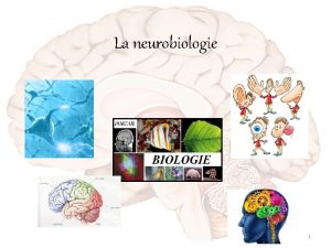 La neurobiologie 1 Introduction Page 2 Lhomme nat