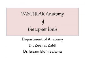 Arteries of upper limb