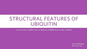 STRUCTURAL FEATURES OF UBIQUITIN Laura Martnez 152691 Marina