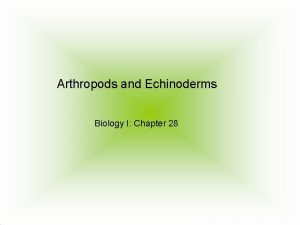 Arthropods and echinoderms