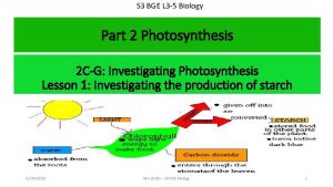 Photosynthesis word equation