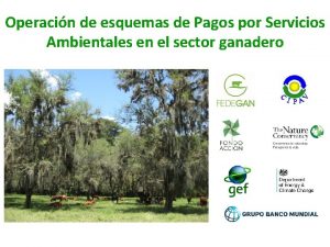 Operacin de esquemas de Pagos por Servicios Ambientales