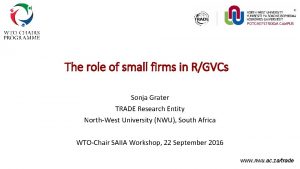 The role of small firms in RGVCs Sonja