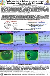 Analisi quantitativa della punteggiatura corneale tramite un software