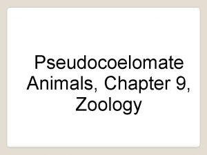 Pseudocoelomate Animals Chapter 9 Zoology Phylum Rotifera Pronounced