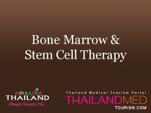 Stem cell phuket