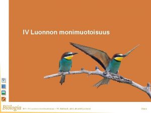 IV Luonnon monimuotoisuus BI 1 IV Luonnon monimuotoisuus