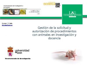 Vicerrectorado de Investigacin e Innovacin Comit de tica