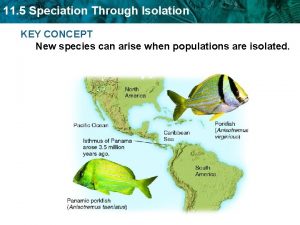 Speciation through isolation