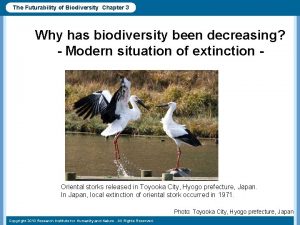 The Futurability of Biodiversity Chapter 3 Why has