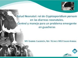 Salud Neonatal rol de Cryptosporidium parvum en las