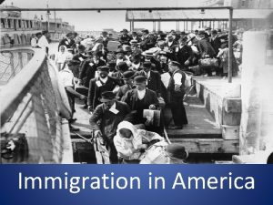 Immigration Immigration