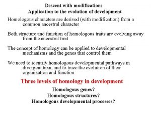Developmental homology Developmental homology