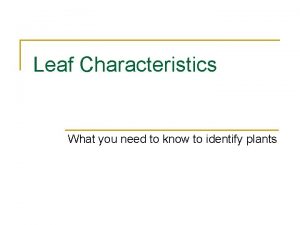 Leaf attachment types