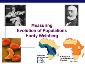 Measuring Evolution of Populations Hardy Weinberg AP Biology