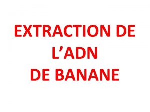 EXTRACTION DE LADN DE BANANE Il vous faut