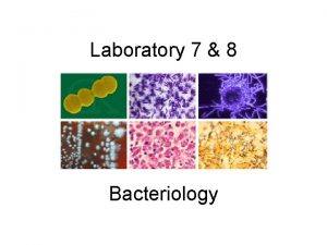 Laboratory 7 8 Bacteriology Bacteria Small Unicellular Organisms