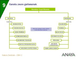 9 Garatu zeure gaitasunak Munduko Zazpi Mirariak ZAHARRAK