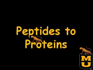 Peptides to Proteins What are proteins Why are