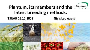 Plantum its members and the latest breeding methods