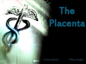 Description of placenta