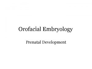 Orofacial Embryology Prenatal Development Websites to check out