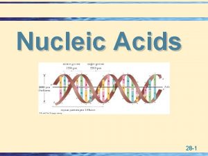 Nucleic Acids 28 1 Nucleic Acids Components u