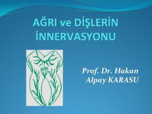 ARI ve DLERN NNERVASYONU Prof Dr Hakan Alpay