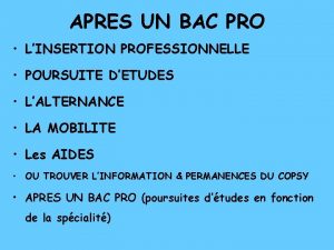 APRES UN BAC PRO LINSERTION PROFESSIONNELLE POURSUITE DETUDES