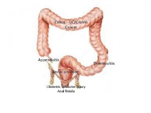 Colitis UCCrohns Cancer Appendicitis Rectal prolapse Obstetric sphincter