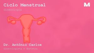 Ciclo Menstrual Ginecologia Dr Antnio Carlos Ginecologista e