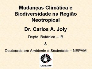Mudanas Climtica e Biodiversidade na Regio Neotropical Dr