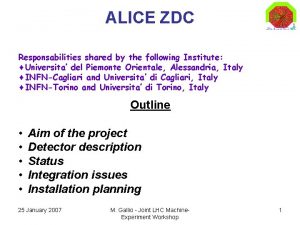 ALICE ZDC Responsabilities shared by the following Institute