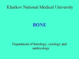 Kharkov National Medical University BONE Department of histology