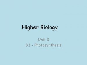 Higher biology photosynthesis
