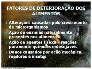 FATORES DE DETERIORAO DOS ALIMENTOS n n Alteraes