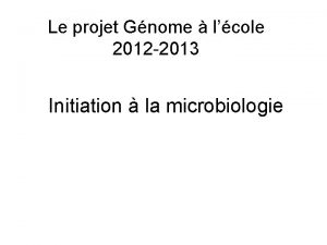 Le projet Gnome lcole 2012 2013 Initiation la