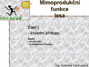 Mimoprodukn funkce lesa st I expertn pstupy st