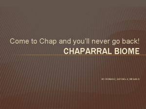 Chaparral biome