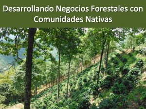 Desarrollando Negocios Forestales con Comunidades Nativas Contenido Por