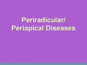 Periradicular Periapical Diseases Introduction u Periradicular tissues consist