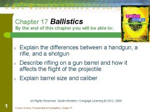 Nibis ballistics definition