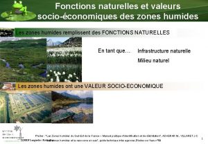 Fonctions naturelles et valeurs socioconomiques des zones humides