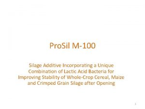 Silage pro
